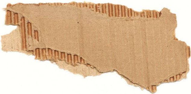 Abgerissenes Stück Wellpappe mit sichtbaren Wellen und Deckenpapieren